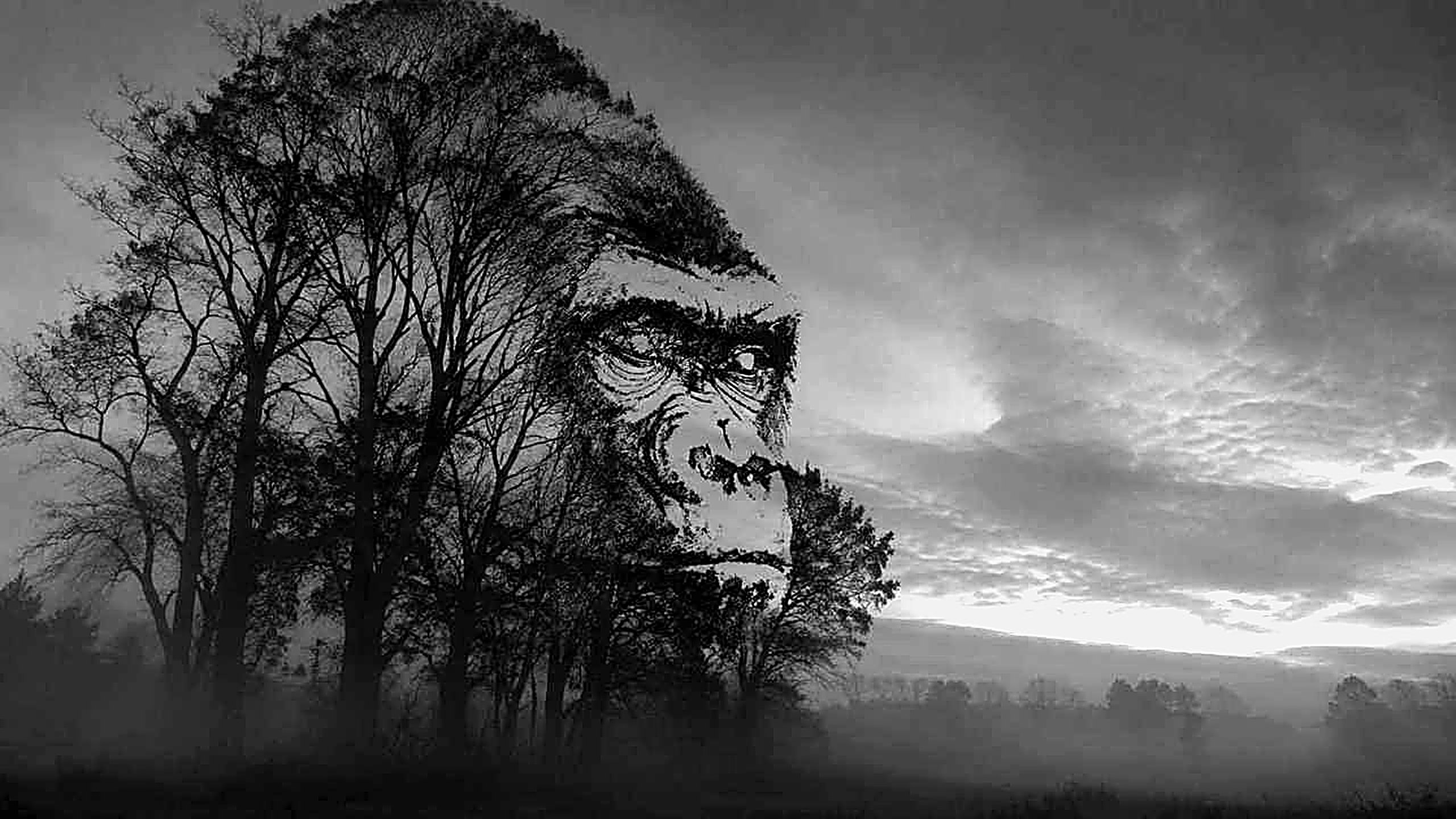 Baumgruppe formt das Gesicht eines Silberrücken-Gorillas